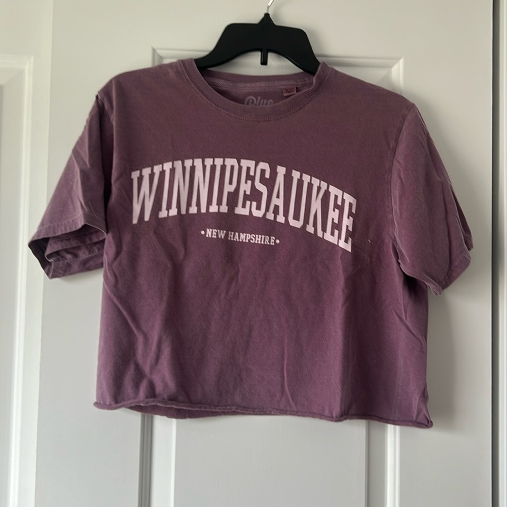 lake winnipesaukee cropped purple t shirt